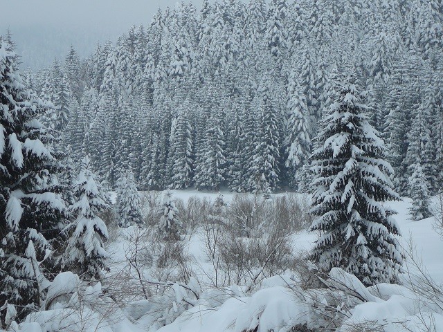 Gorski kotar